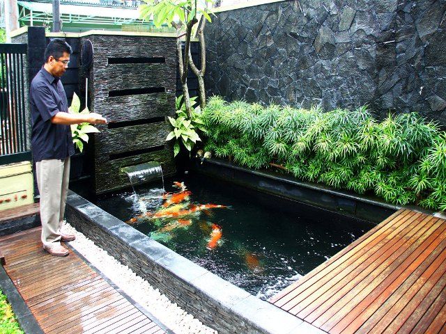 Taman Minimalis Samping Rumah dengan Kolam Ikan