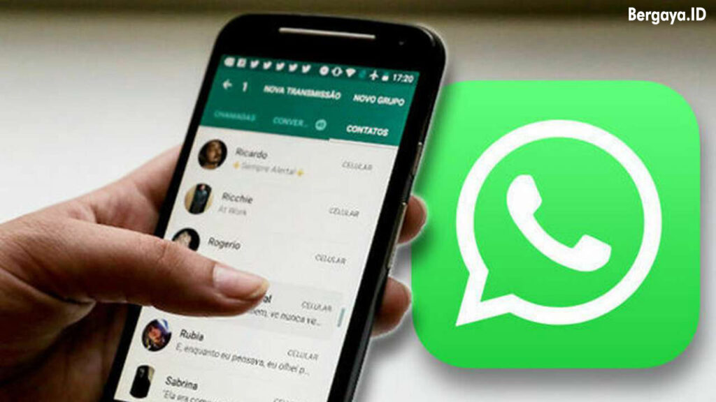 cara agar whatsapp centang satu | KolorPutih